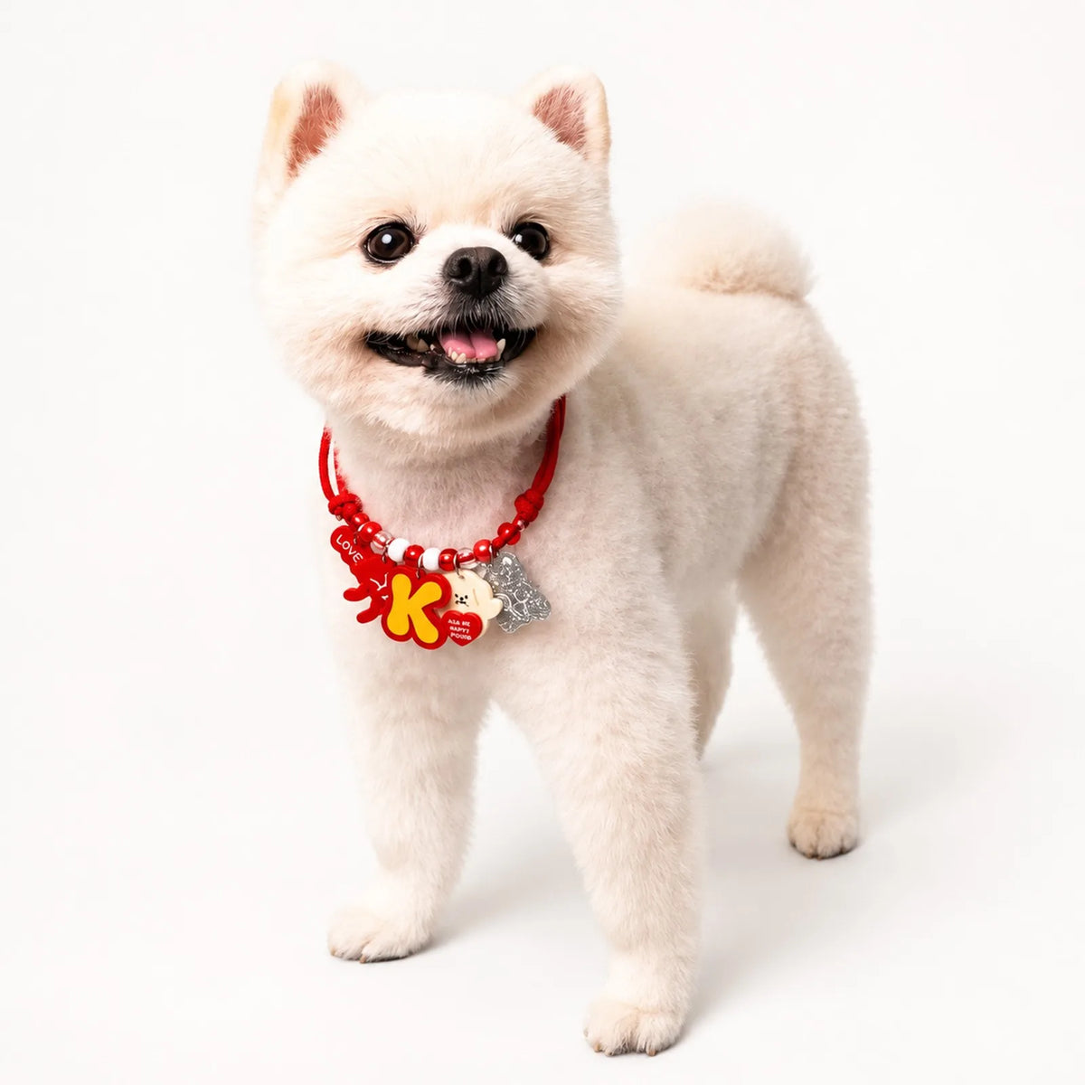 Personalized Pet Necklace with four colorful braided rope options