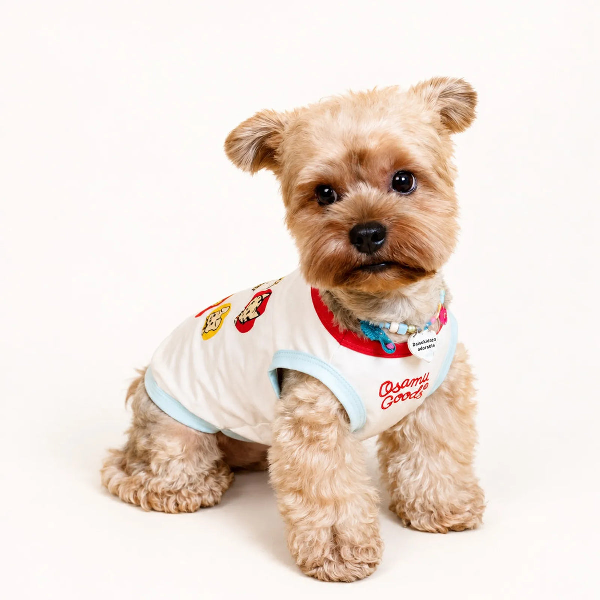 Personalized Pet Necklace with four colorful braided rope options